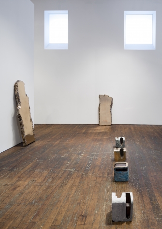 Lucy Skaer: Sentiment &ndash; installation view 11
