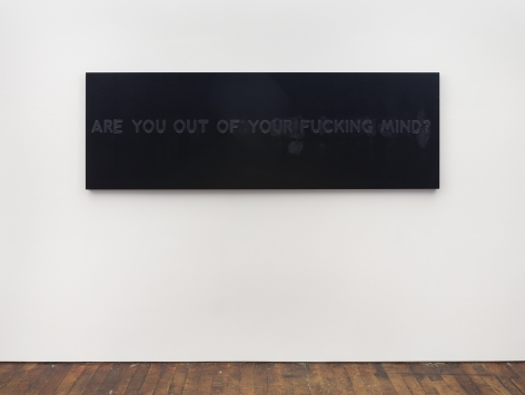 Mel Bochner Are You Out Of Your Fucking Mind?&nbsp;(installation)&nbsp;