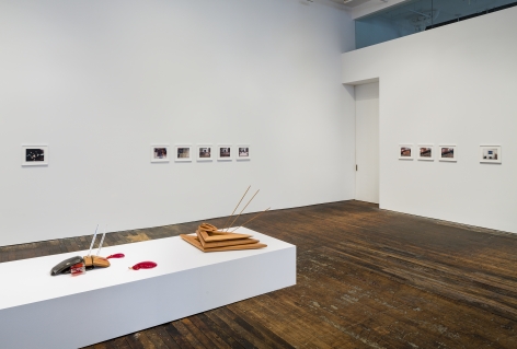 Lucy Skaer: Sentiment &ndash; installation view 9