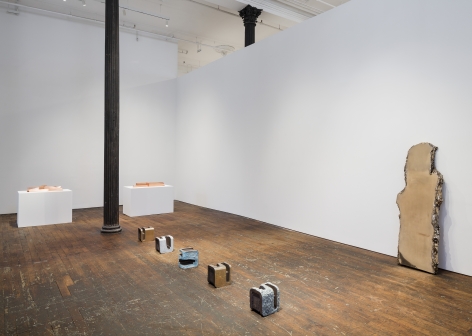 Lucy Skaer: Sentiment &ndash; installation view 1