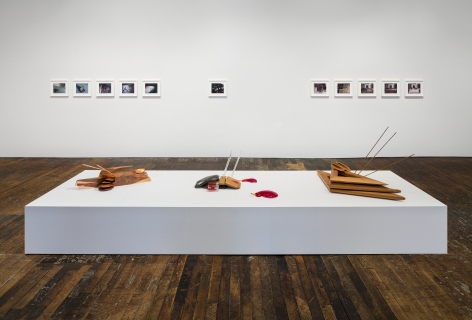 Lucy Skaer: Sentiment &ndash; installation view 7